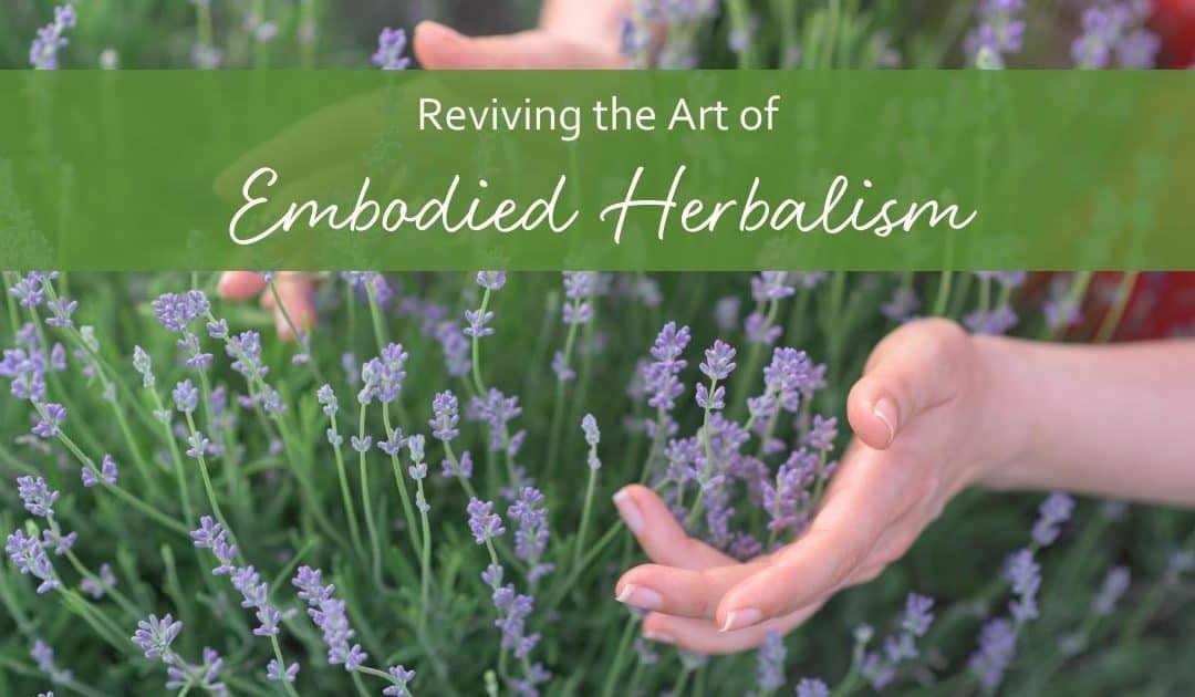 Reviving the Art of Embodied Herbalism