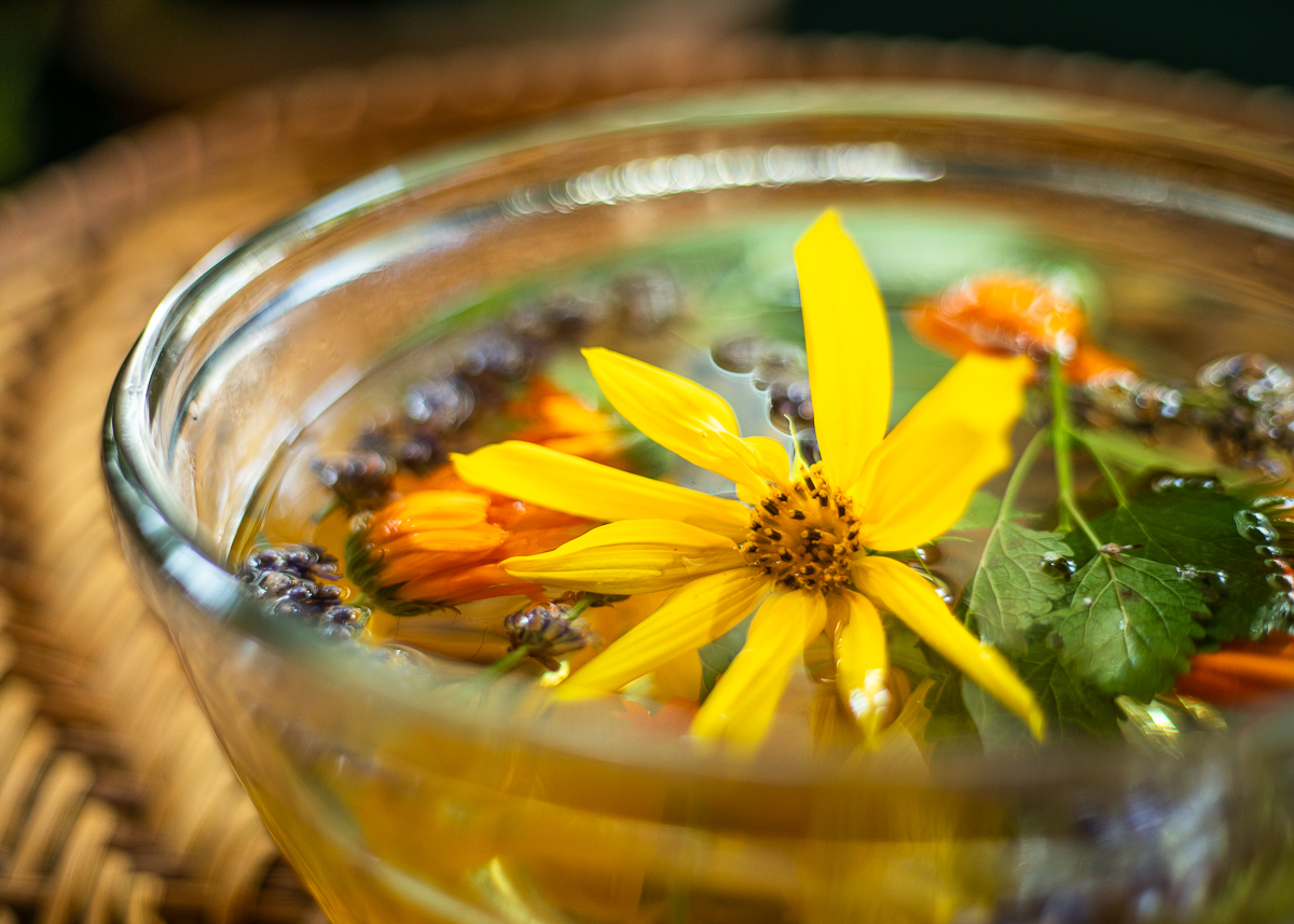 Reviving the Art of Embodied Herbalism