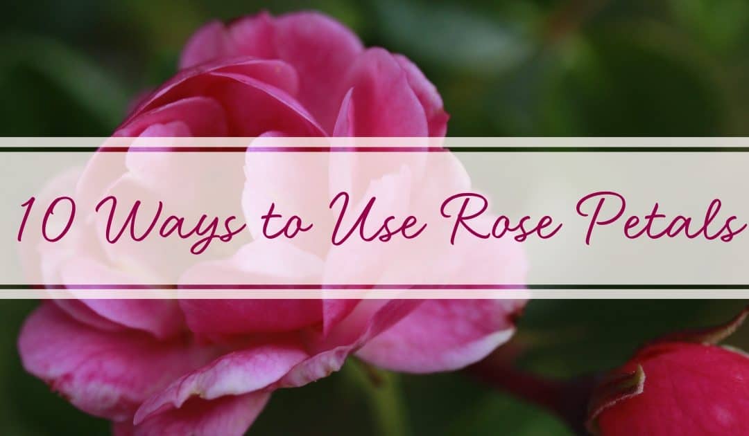 ways to use rose petals