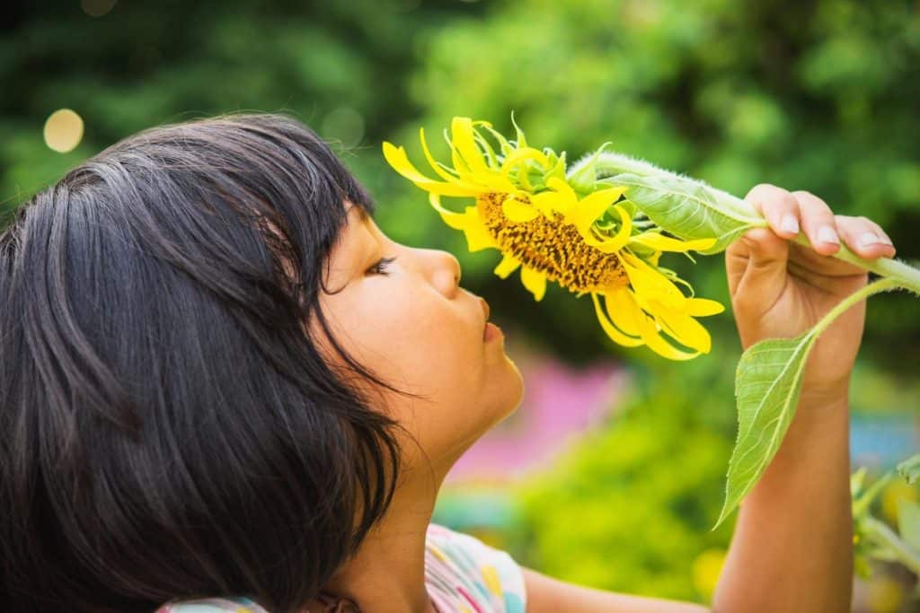 child with sunflower