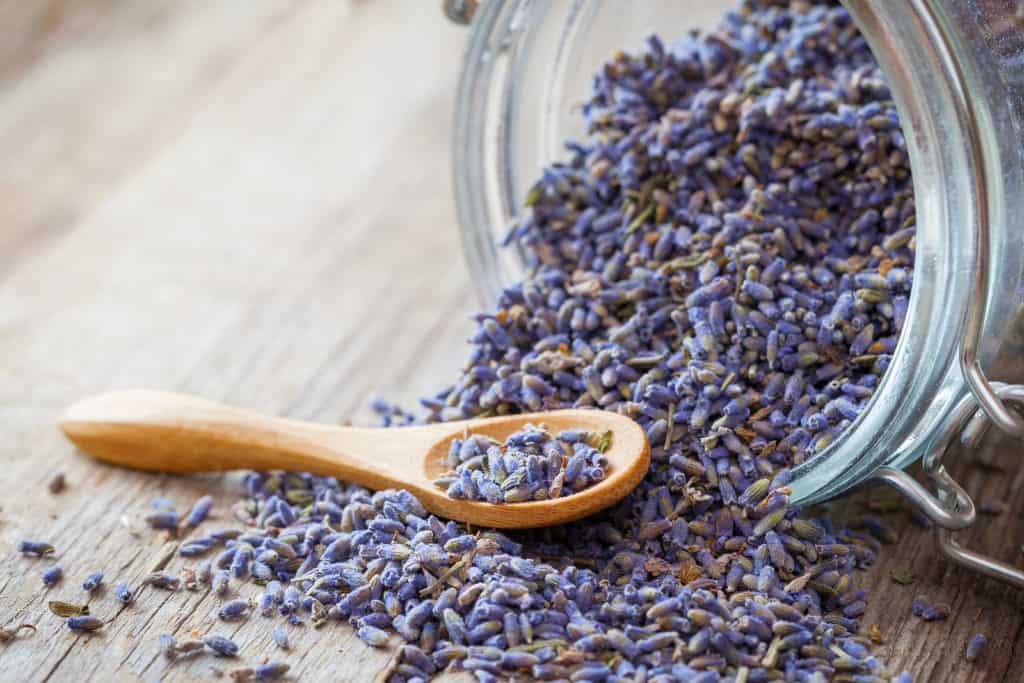 things to do with lavender