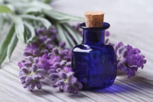 lavender oil