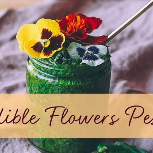 edible flowers pesto recipe