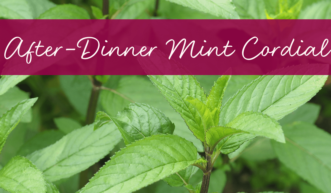 After-Dinner Mint Cordial Recipe