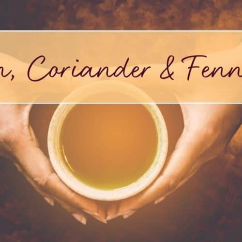 Cumin, Coriander, and Fennel Tea