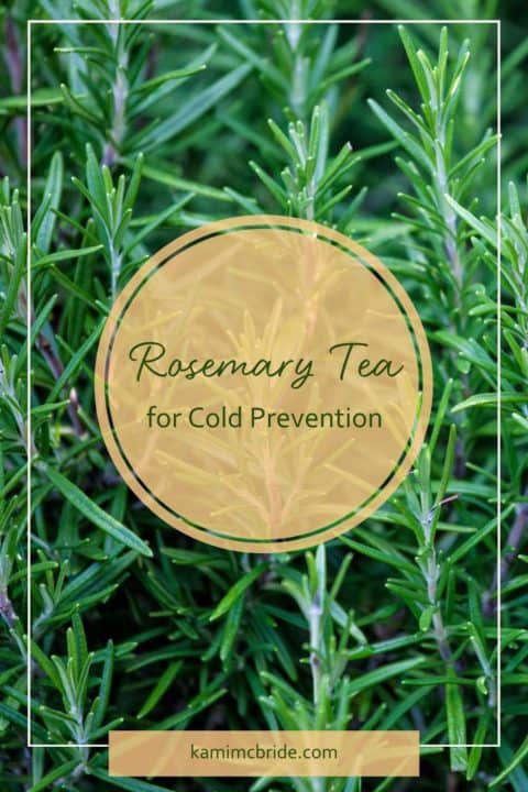 Rosemary Tea for Colds - Kami McBride