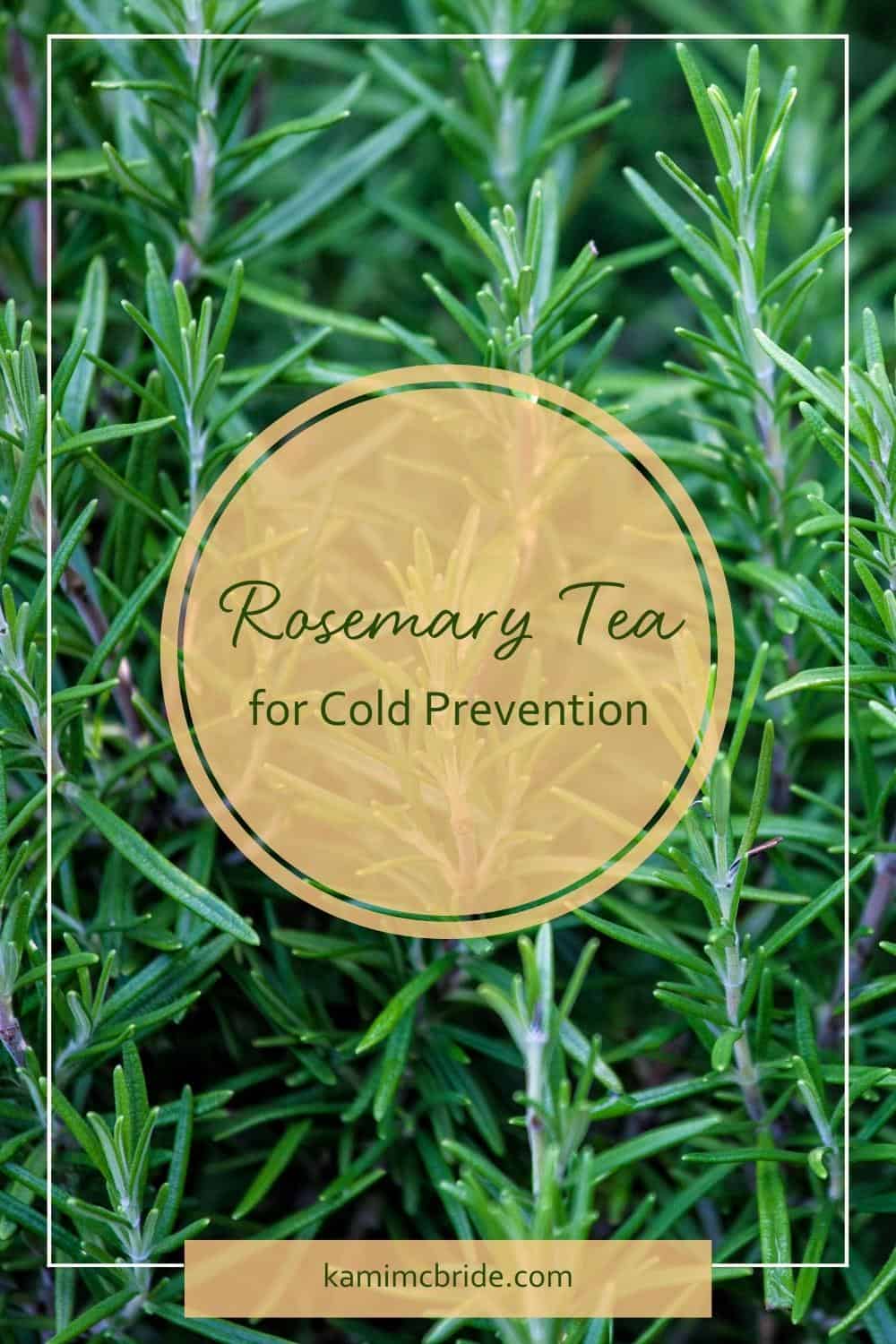 rosemary tea for colds