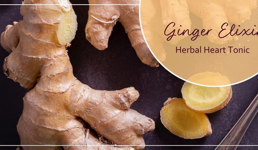 Ginger Elixir: An Herbal Heart Tonic