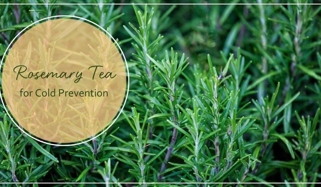 Rosemary Tea for Colds