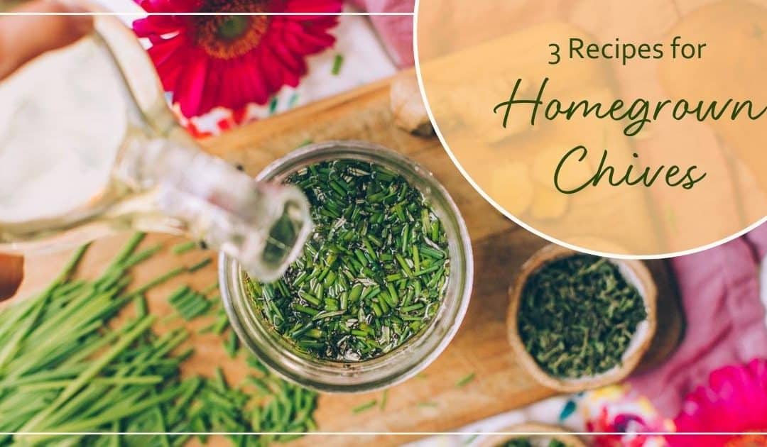 3 Recipes for Using Homegrown Chives