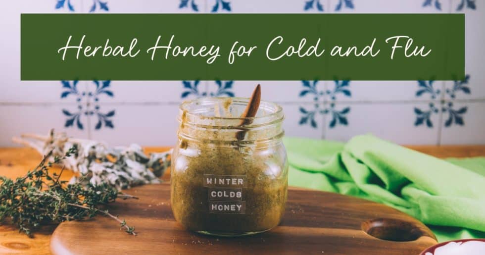 herbal-honey-for-cold-and-flu-season-kami-mcbride