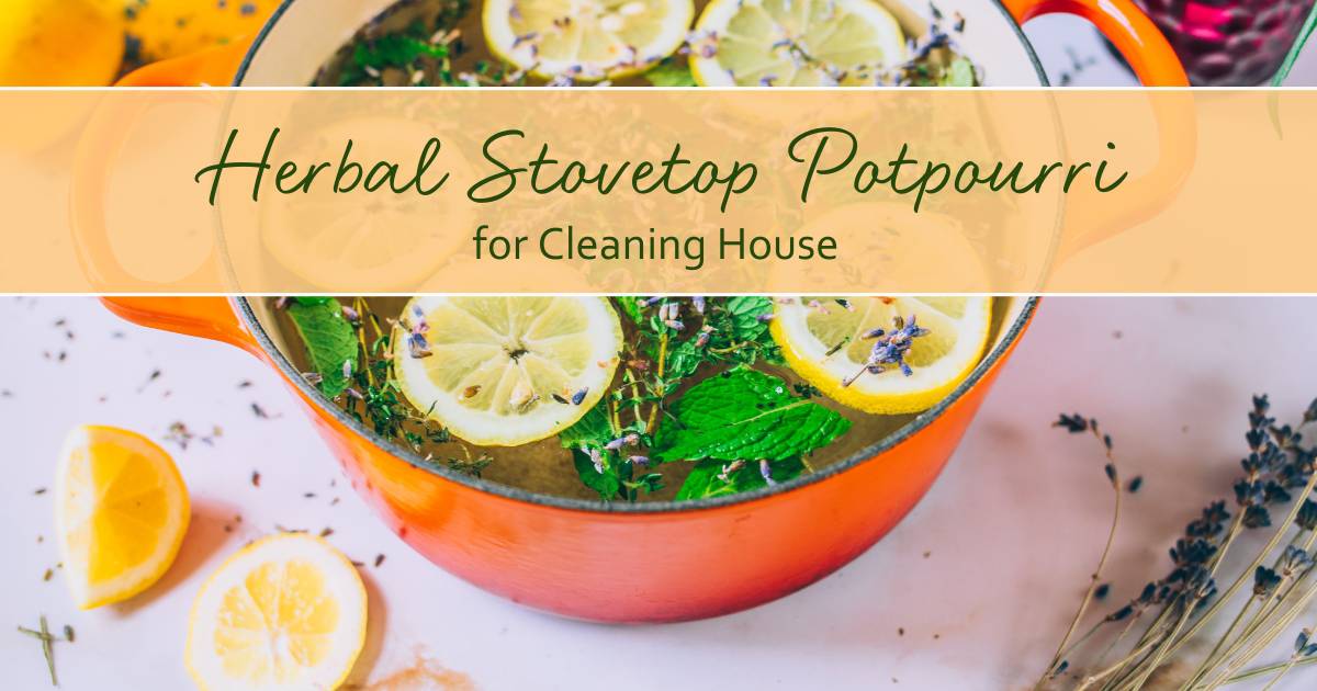 Holiday Stovetop Potpourri Recipe: The Smell of the Season – Herbal Academy