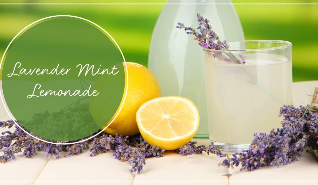 Refreshing Lavender Mint Lemonade Recipe
