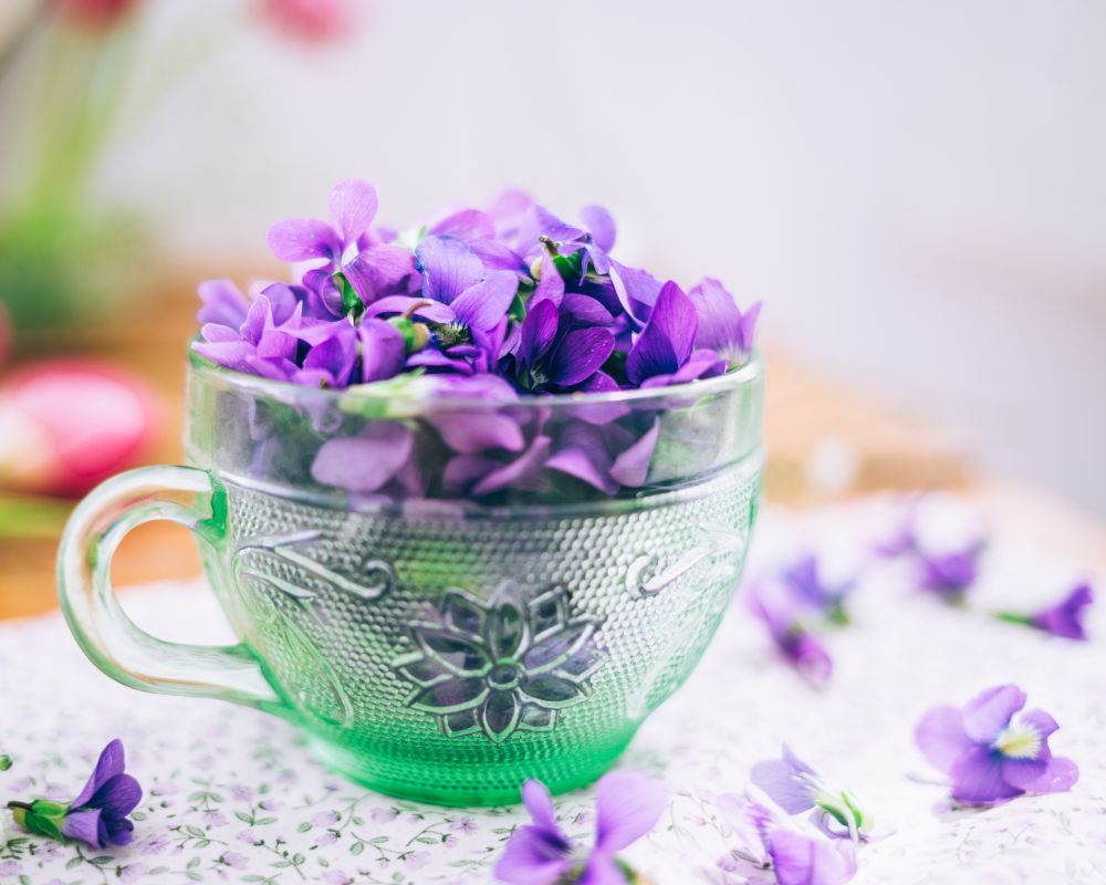 A Violet Syrup Recipe with Honey