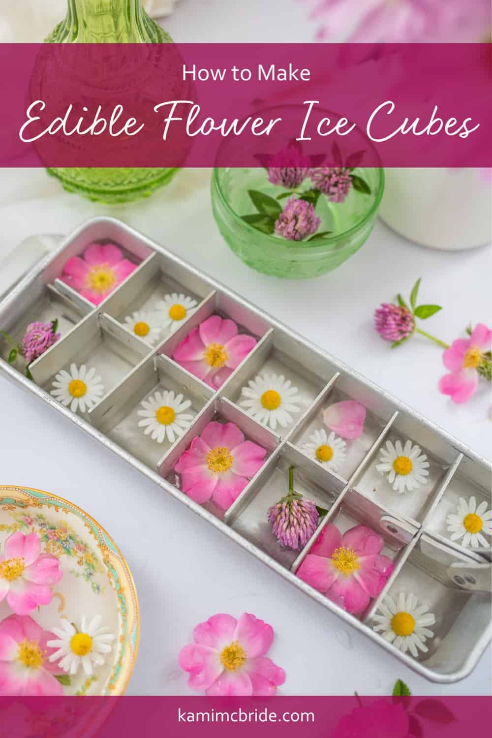 Edible Flower Ice Cubes - Kirbie's Cravings