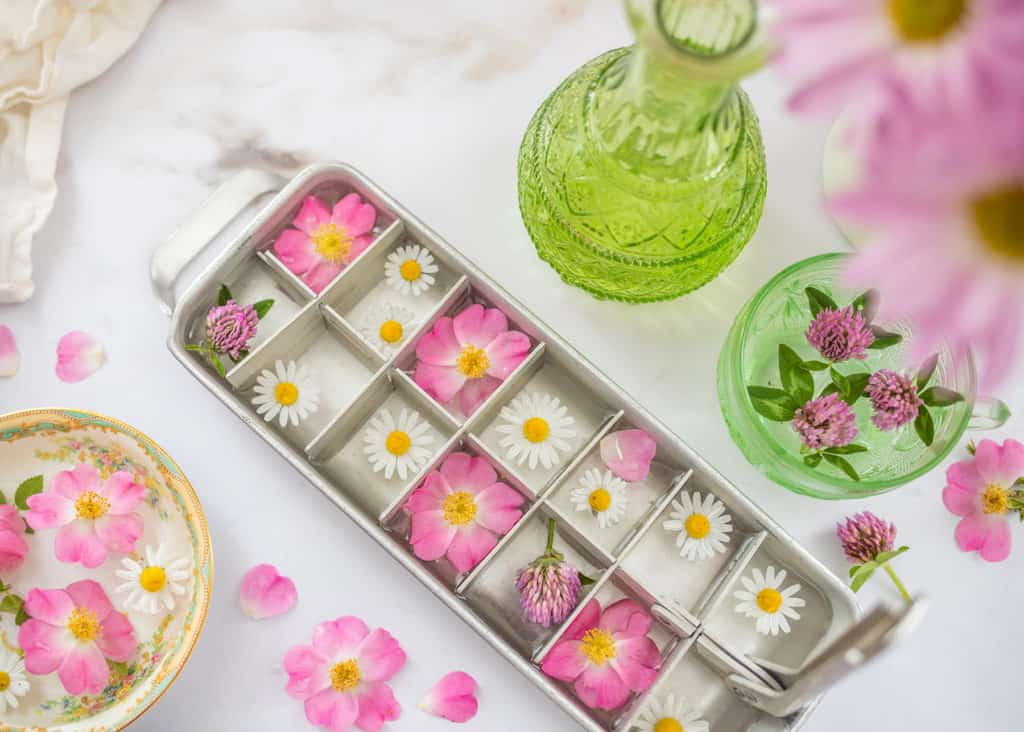 Edible Flower Ice Cubes - This Healthy Table