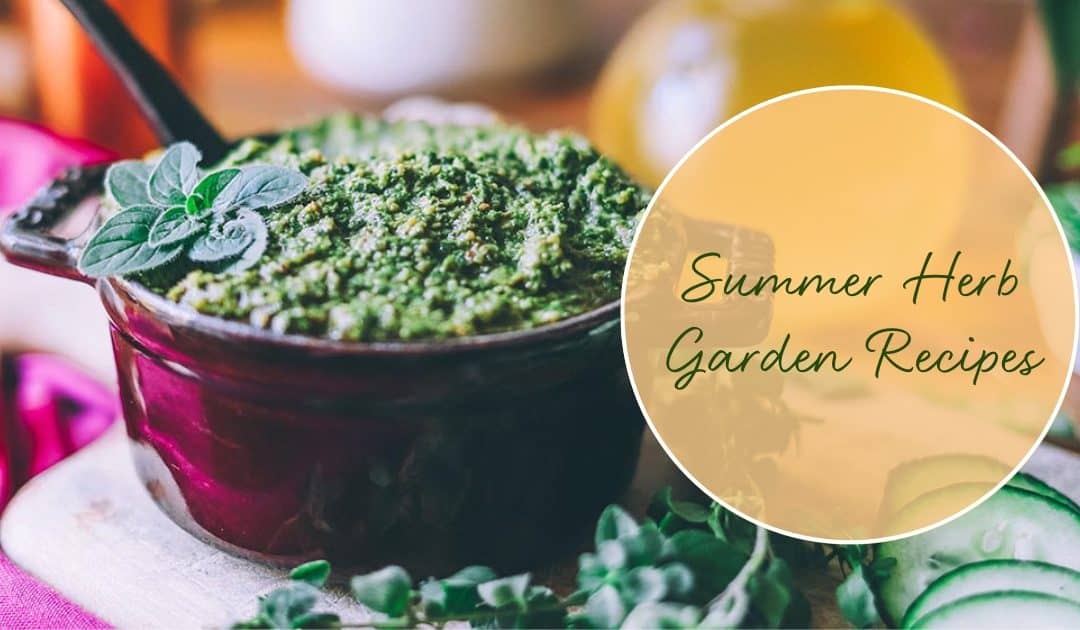 Summer Herb Garden Recipes