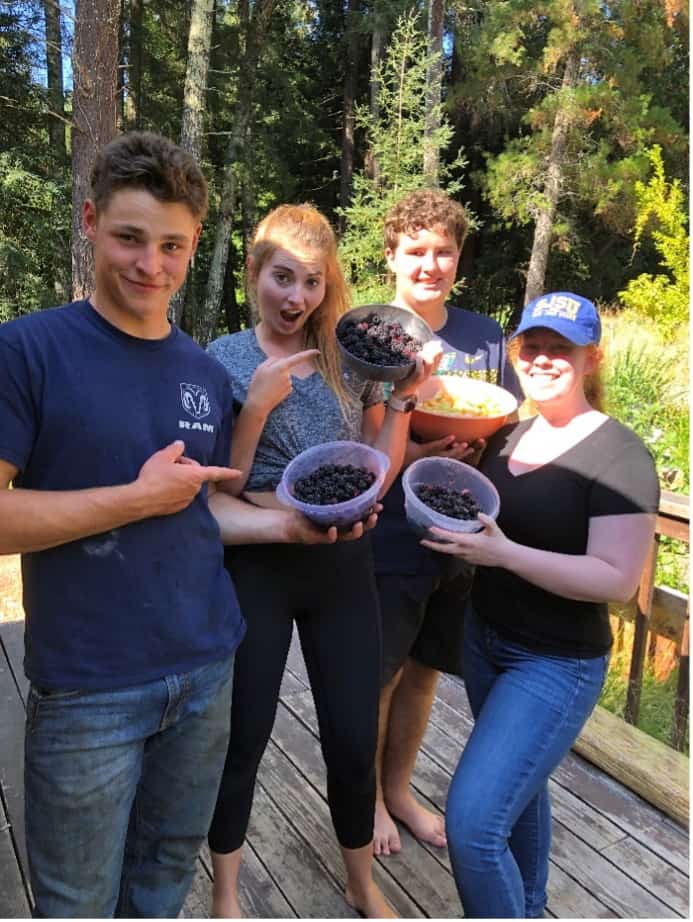 blackberry harvest