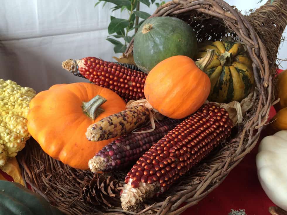 Why We Need Seasonal Food Rituals - Kami McBride