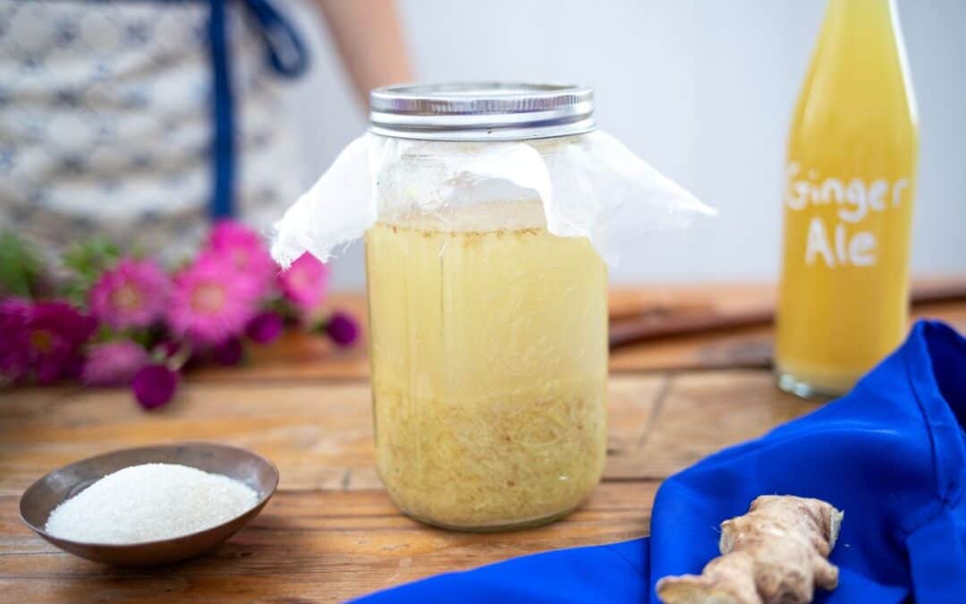 Ginger Bug Recipe: Starter for Homemade Sodas