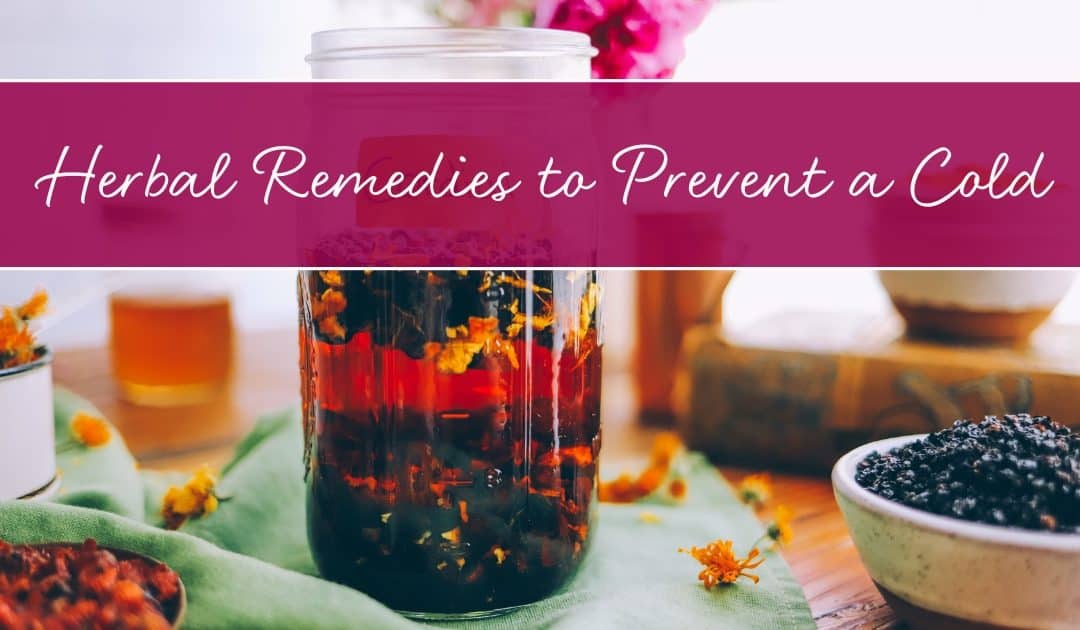 Herbal Remedies to Prevent a Cold Before It Starts