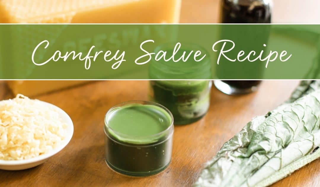 Comfrey Salve Recipe: The Balm You’ll Love for Bumps and Bruises