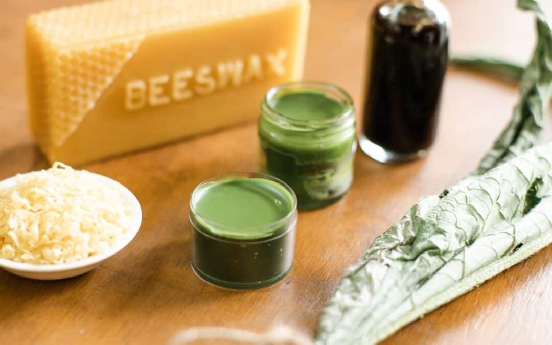 Comfrey Salve Recipe: The Balm You’ll Love for Bumps and Bruises