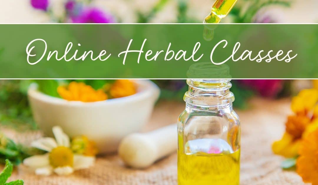 online herbal classes