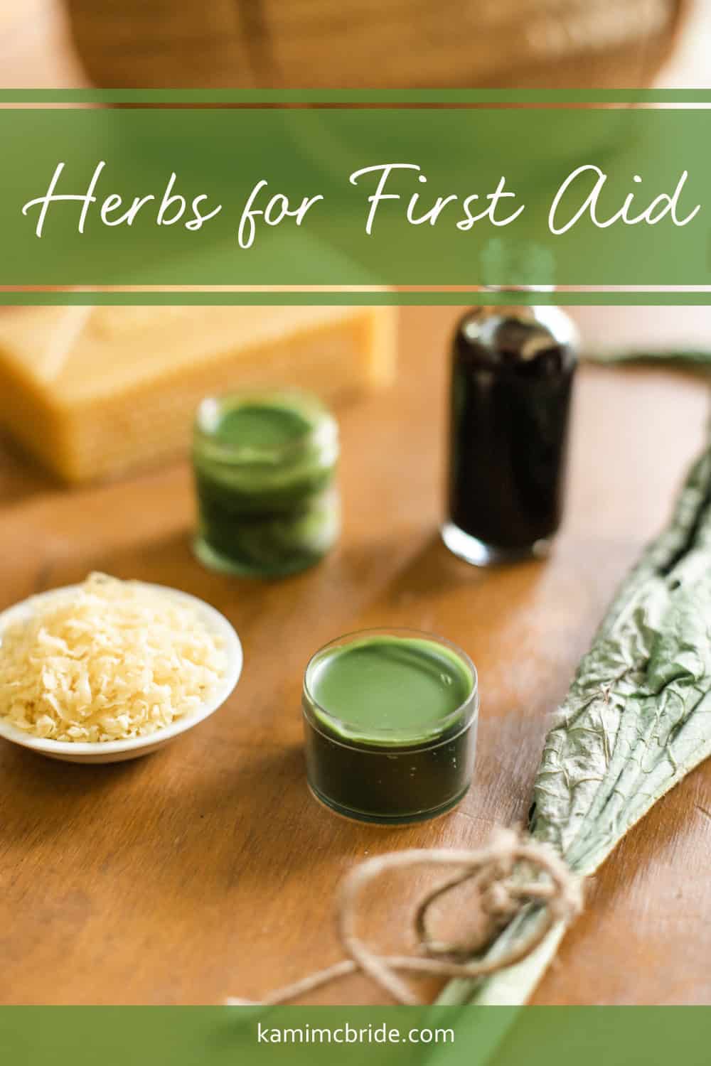 herbs for first aid