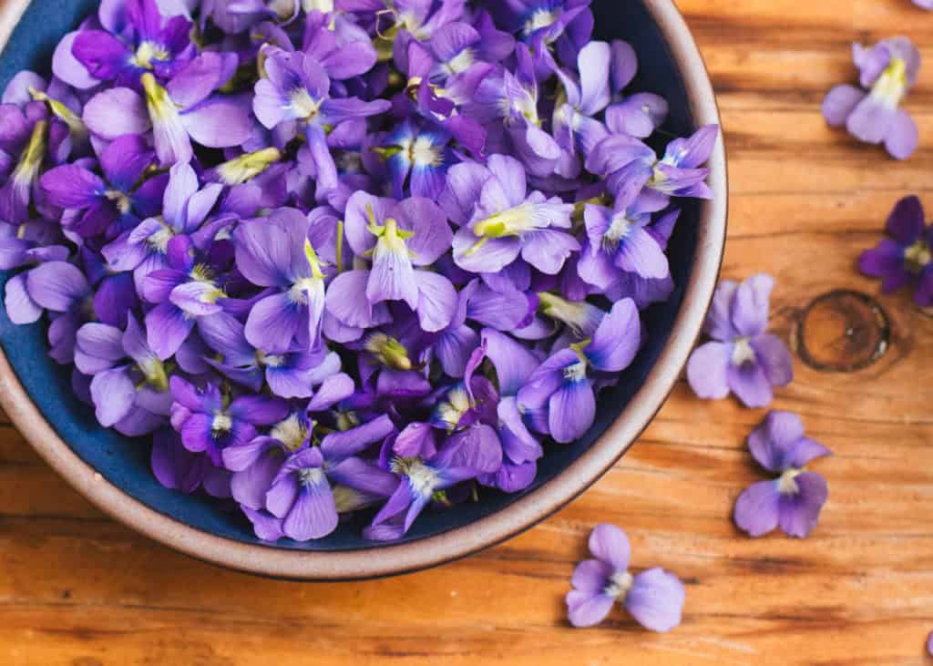 health benefits of violet