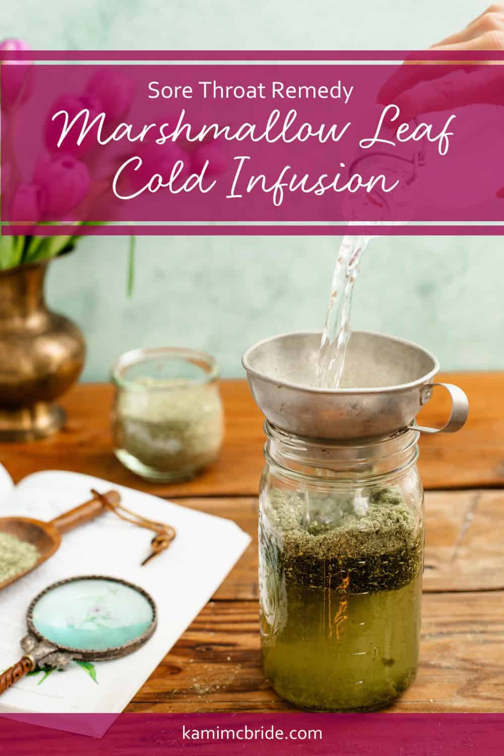 marshmallow leaf cold infusion