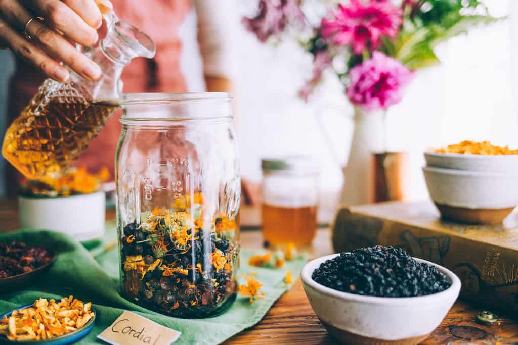 elderberry cordial