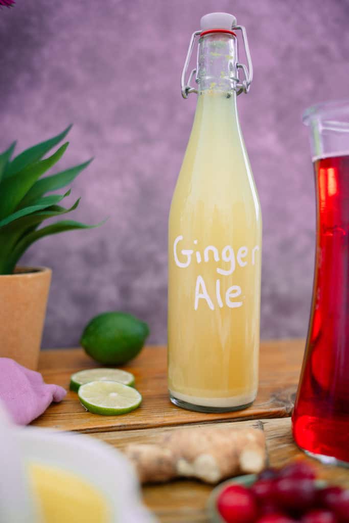 homemade ginger ale