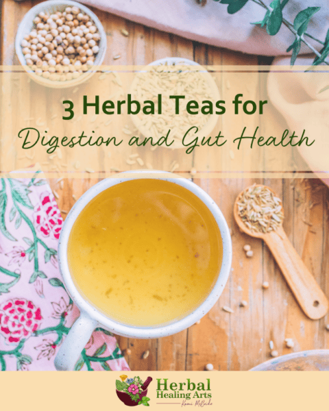 3 Herbal Teas for Digestion and Gut Health - Kami McBride